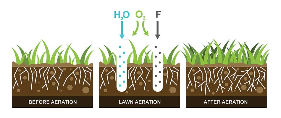 Infographic about core aeration for lawns in Granger, IN.