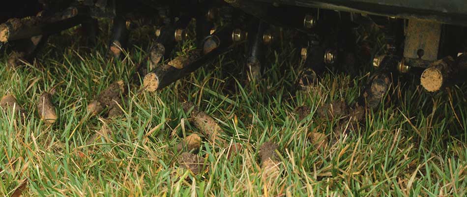 Your Lawn is Aerated and Overseeded, Now What?