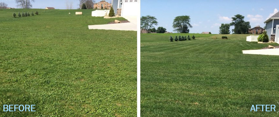 Healthy lawn with fresh mowing and fertilizer lines in Elkhart, IN.