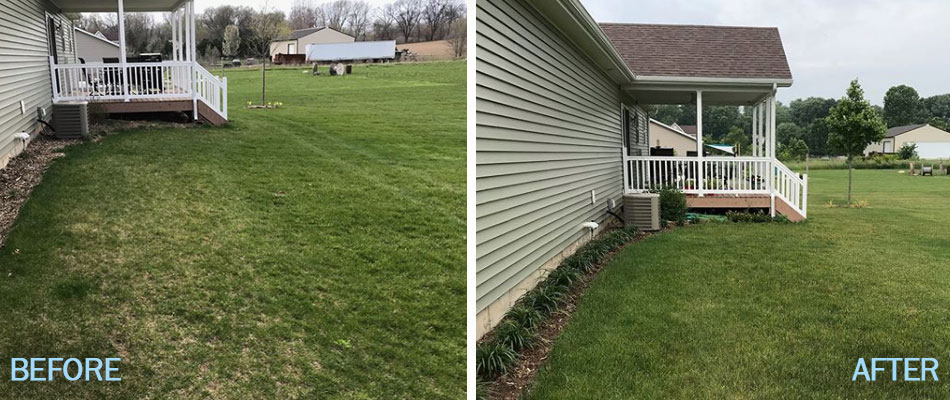 Green lawn in South Bend, IN after overseeding and weed control.