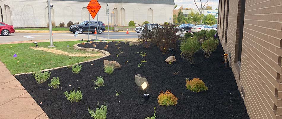 Commercial landscaping with dark mulch bed at Centier Bank in South Bend, IN.