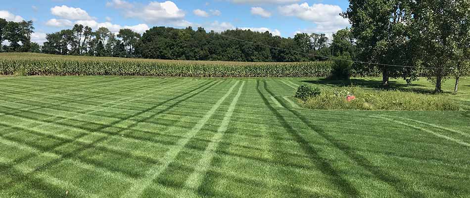 Healthy green lawn with mowing stripes in Mishawaka, IN. 