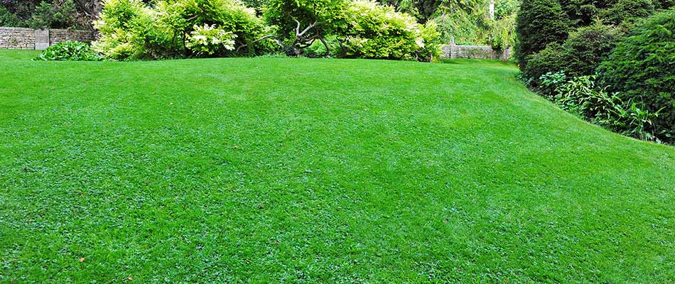 Lawn with regular fertilization services near South Bend, IN.