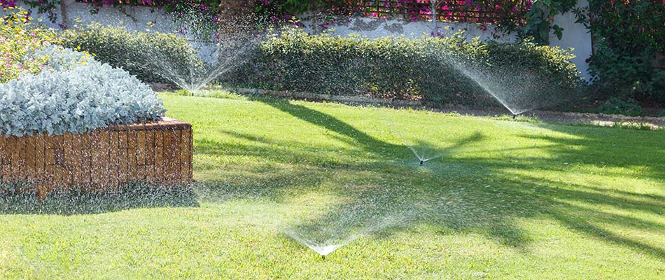 Sprinklers in a South Bend, IN lawn watering landscape plants and beds.