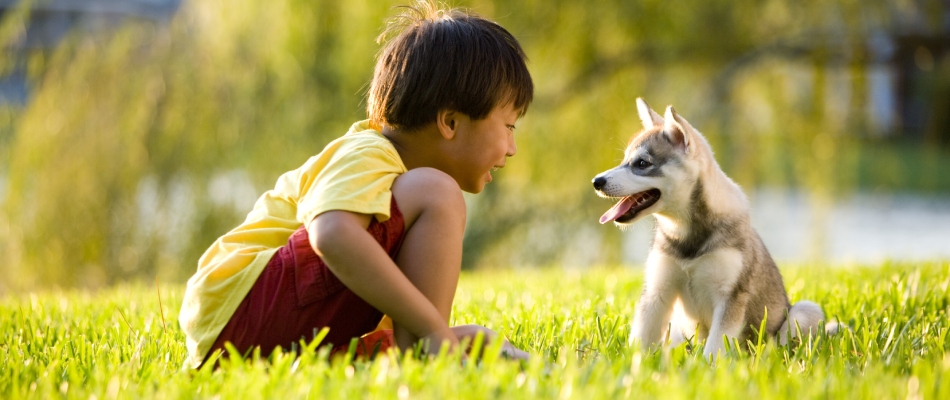 Child with pet dog sitting in flea and tick free lawn in Goshen, IN.