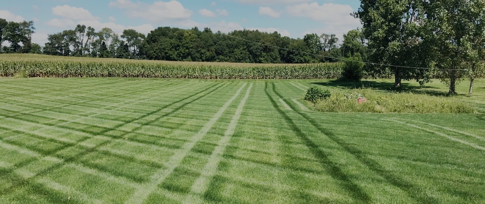 A fertilized lawn with freshly mowed patterns for a healthy lawn schedule in Elkhart, IN.