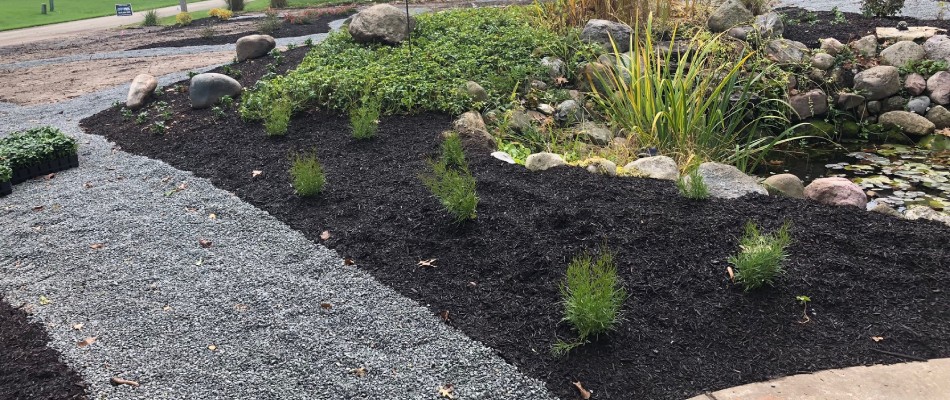 Freshly installed landscape bed with mulch in St. Joseph County, IN.