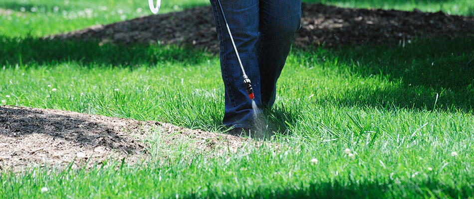 Our lawn care professional spraying pre emergent weed control on a property in Jamestown, IN.