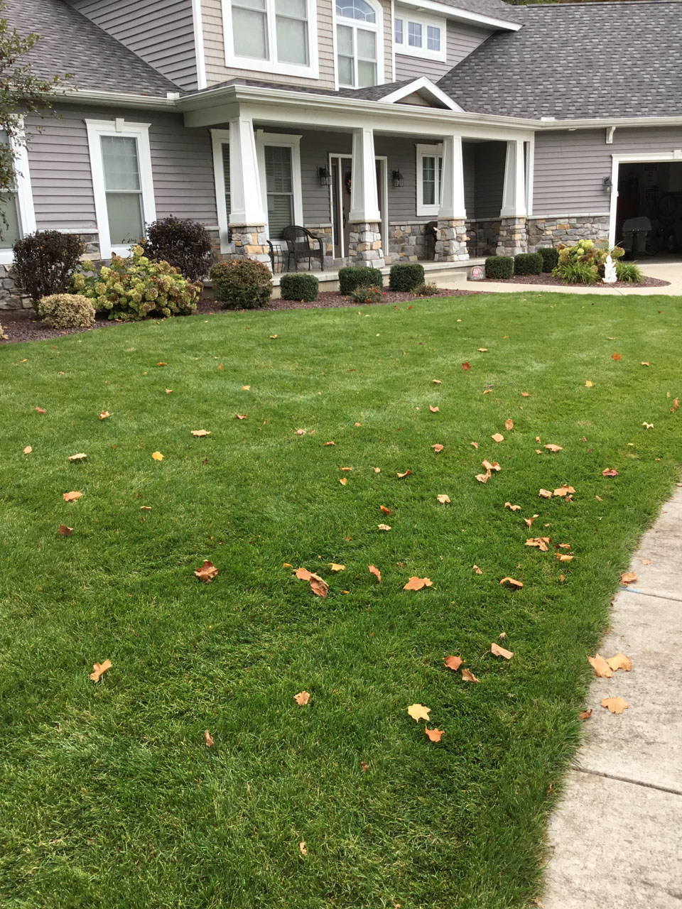 Landscaping Company Lawn Care
