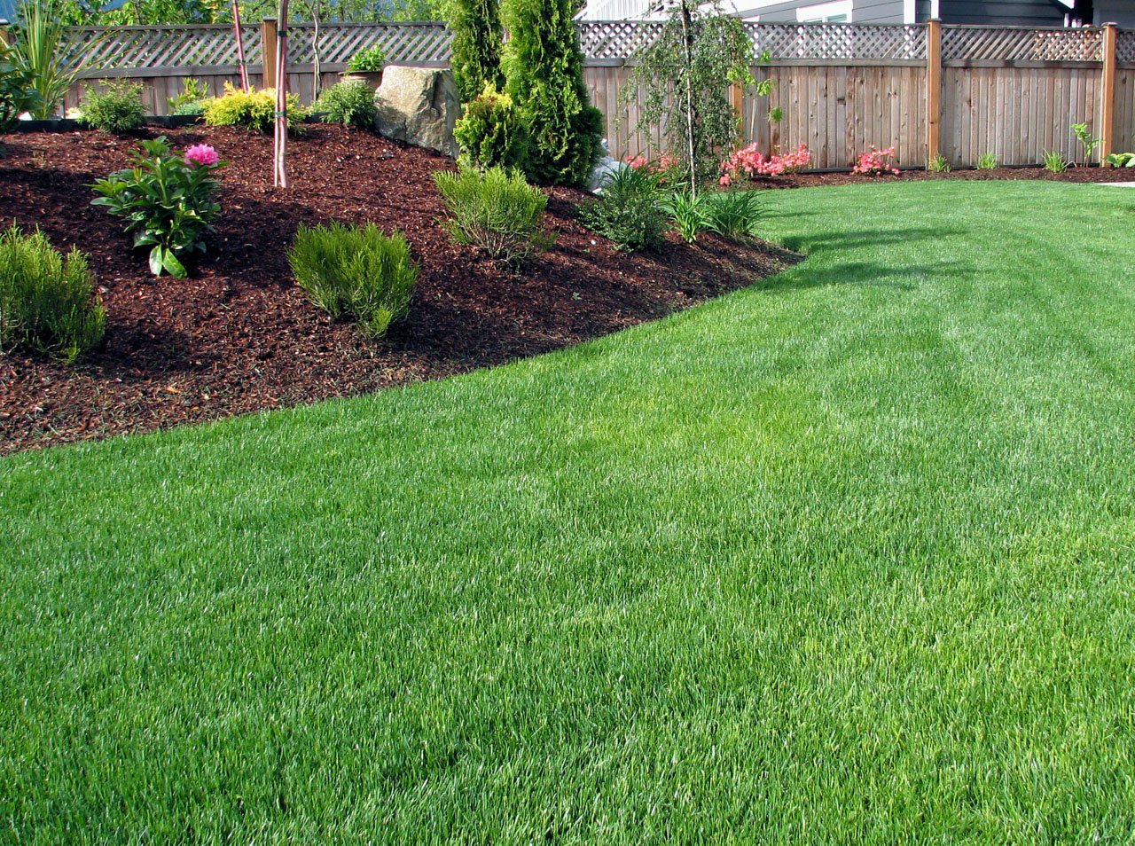 Healthy lawn with fresh mowing and fertilizer lines in Elkhart, IN.