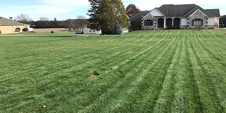 Professional lawn treatment services including fertilization and weed control in Granger, IN.