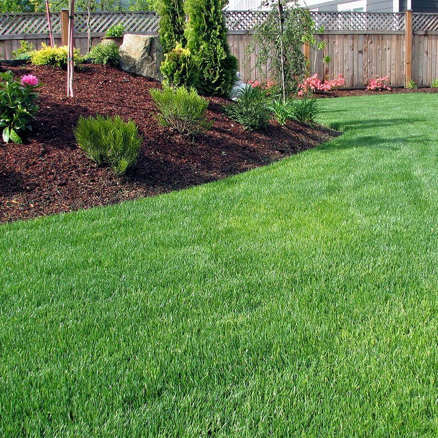 Residential mulch installation enhancing garden beds