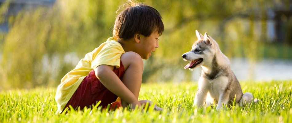 Kid playing with his dog in the yard