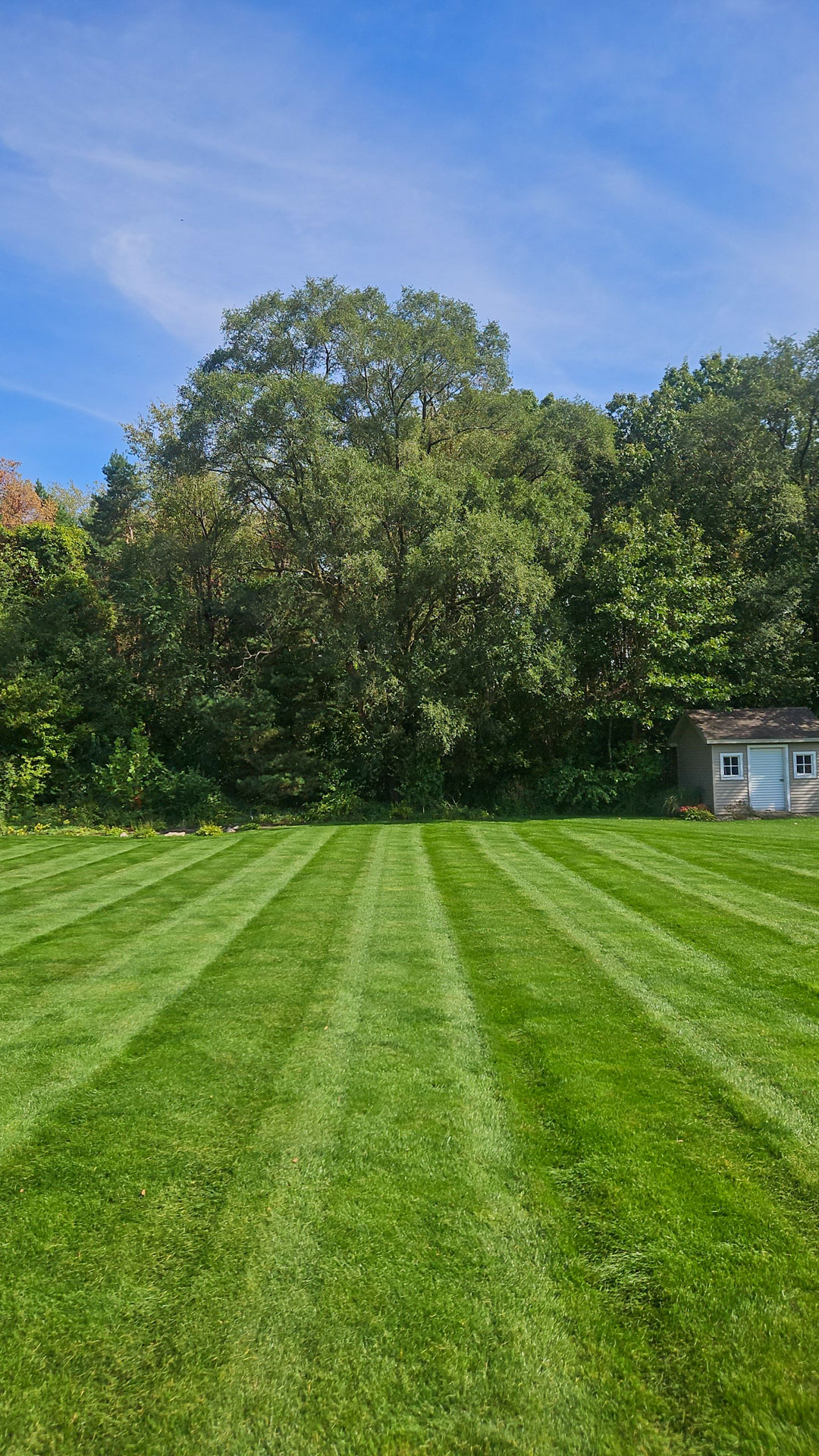 lawn-treatment-01 Freshly cut lawn with wooded area