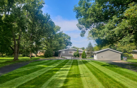 lawn-treatment-02 Freshly cut lawn with straight lines and very vibrant green grass