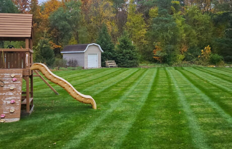 lawn-treatment-08 Indiana lawn maintained by grow pros Lawn Treatment Professionals