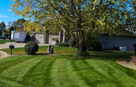 lawn-treatment-11 Leaves falling in a freshly cut lawn in Indiana with a house in the background