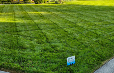 lawn-treatment-13 Freshly cut lawn in Indiana. real lawn treatment results on a michiana lawn