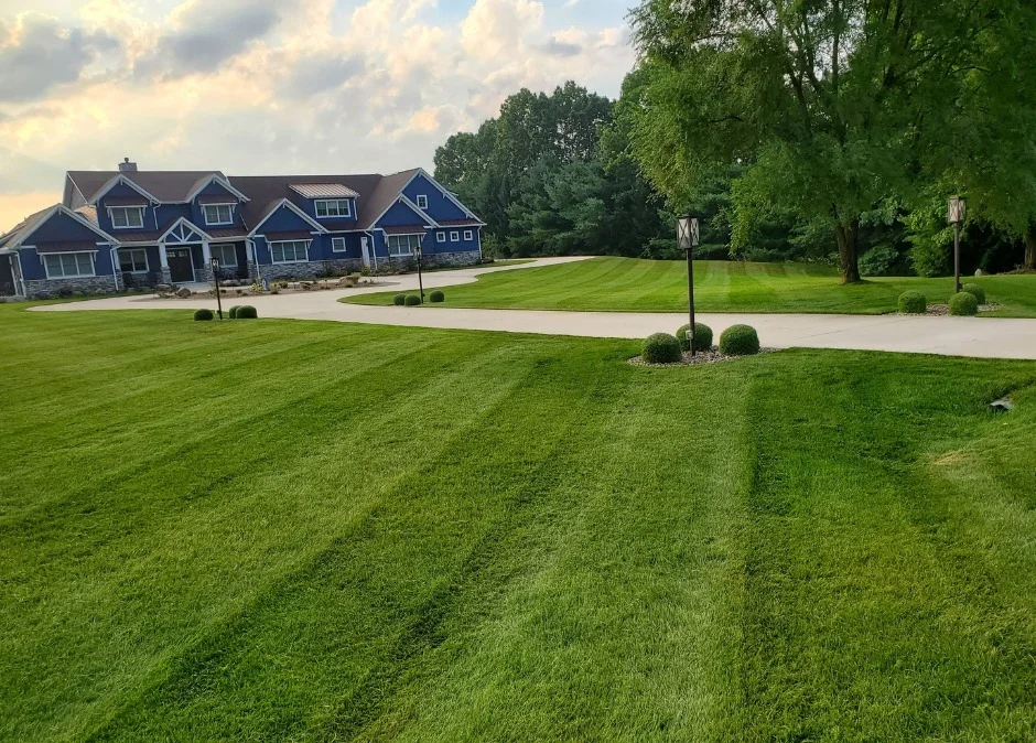 expert-lawn-care-services expert lawn care services