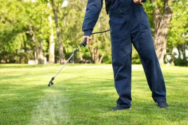 professional lawn care in Edwardsburg Michigan