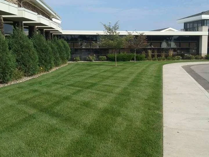 Professional lawn care in Edwardsburg Michigan