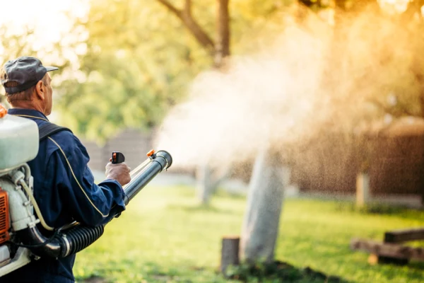 mosquito-control-for-yard-in-elkhart-in professional lawn care in Edwardsburg Michigan