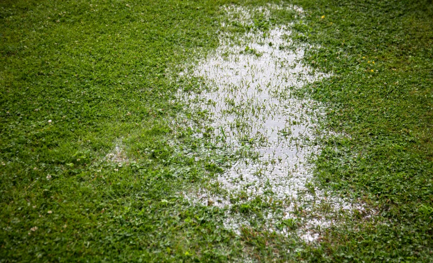 lawn care mistakes elkhart homeowners make