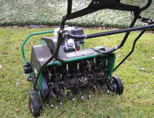 5 Signs Your Lawn Needs Aeration Right Now