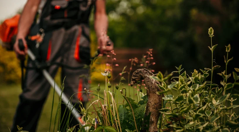 professional lawn care in elkhart