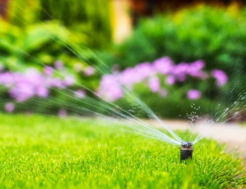 How Often Should You Water Your Lawn in Indiana?