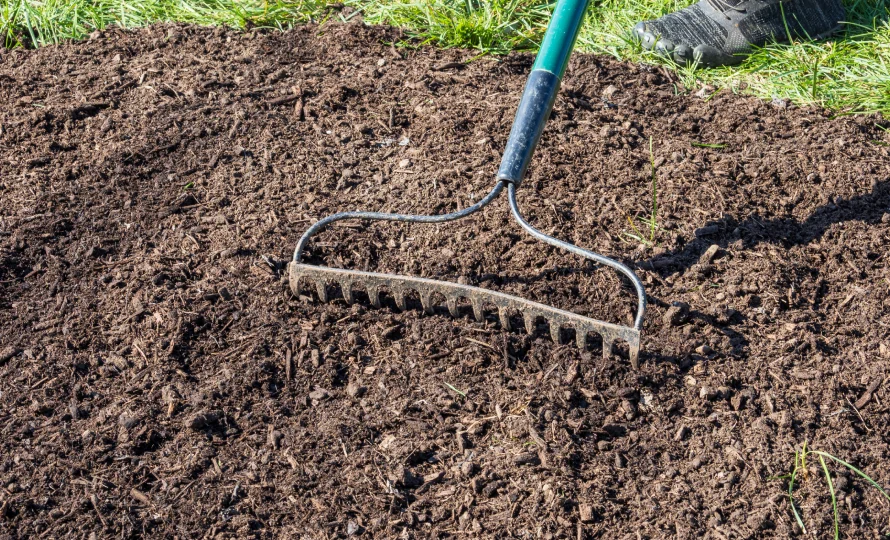 your lawn has bare spots