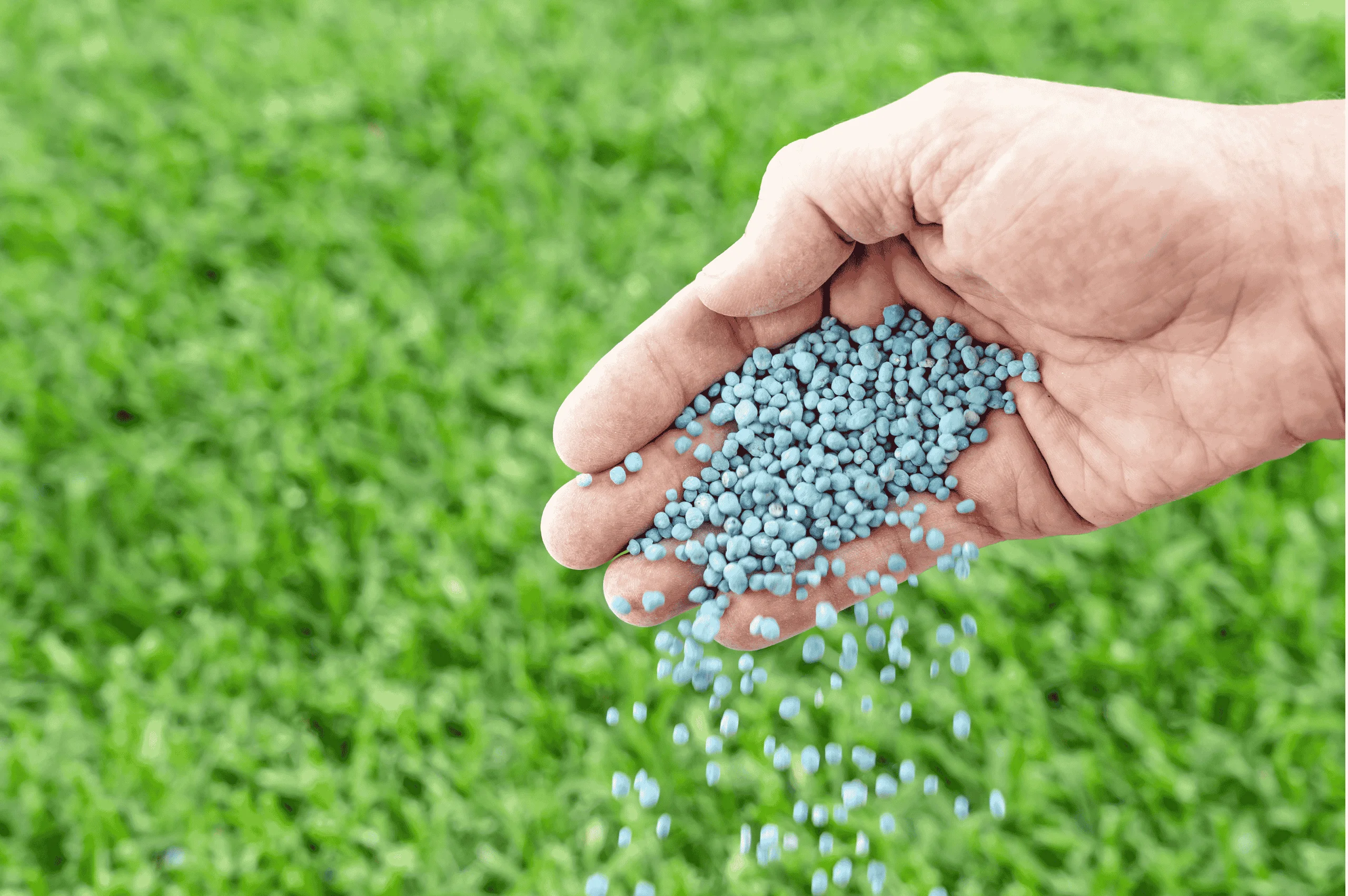 fertilizing and maintenance myths