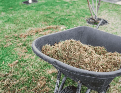 How to Prepare Your Lawn for Winter in Northern Indiana