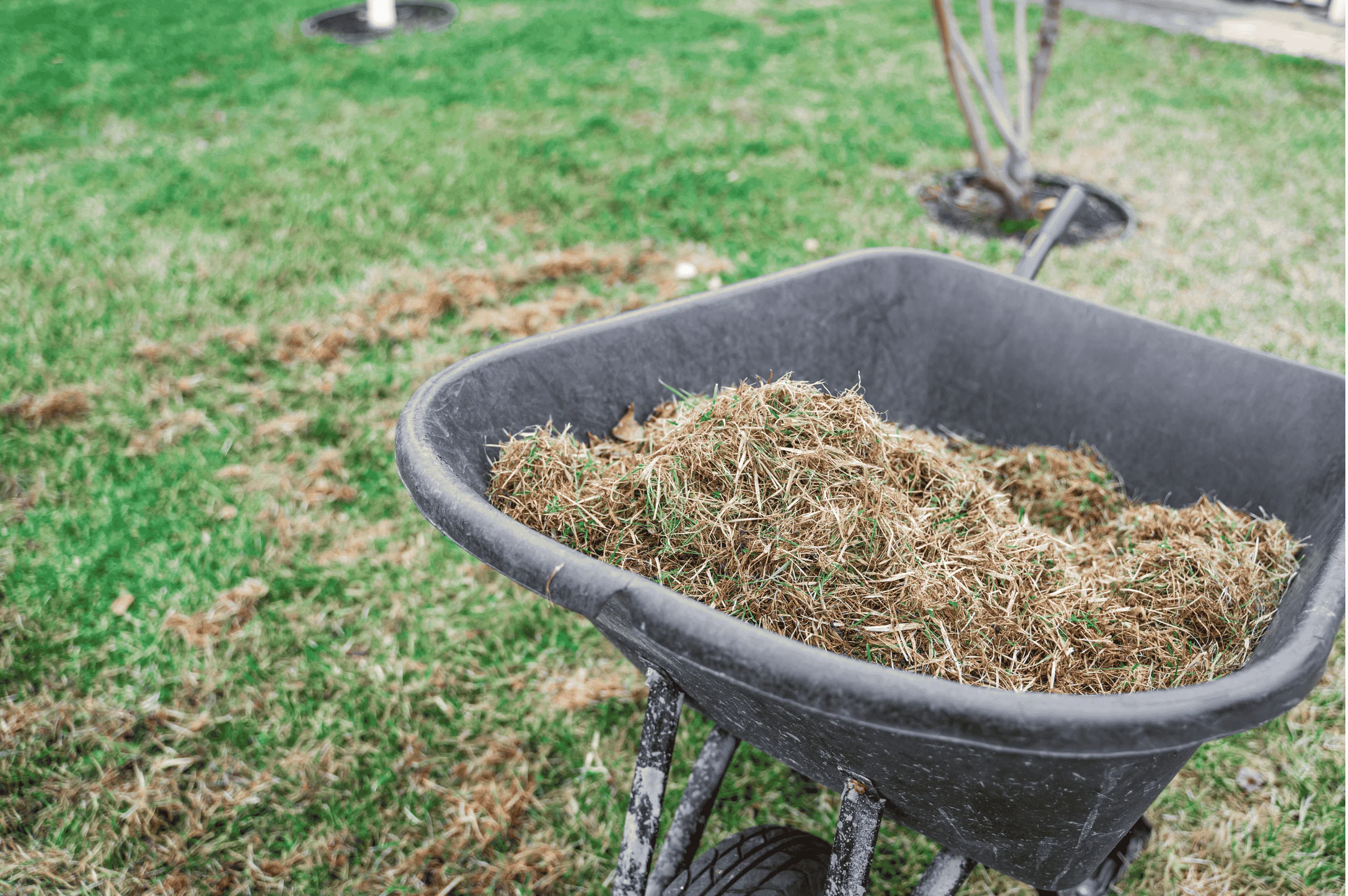 prepare your lawn for winter in northern indiana