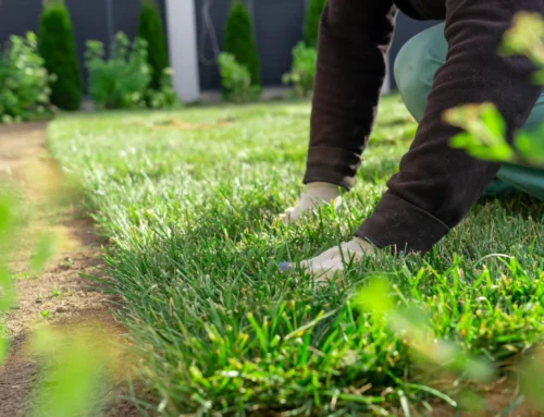 The Ultimate Lawn Fertilization Schedule for Indiana Lawns