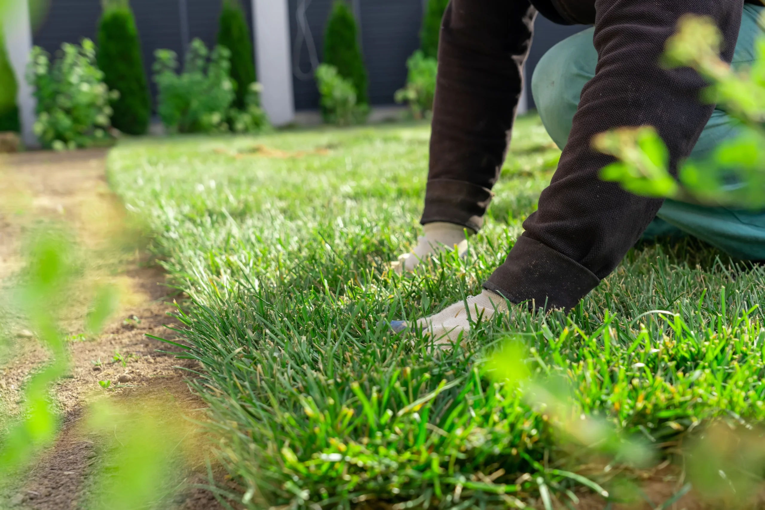 professional fertilization for indiana lawns