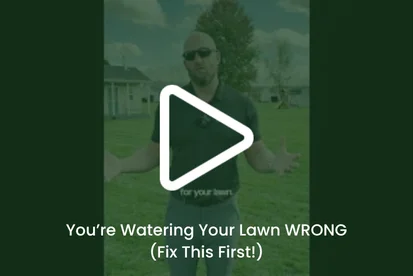 lawn overseeding services in elkhart in