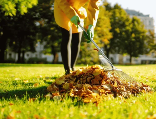 Spring Lawn Care Checklist for Indiana Homeowners
