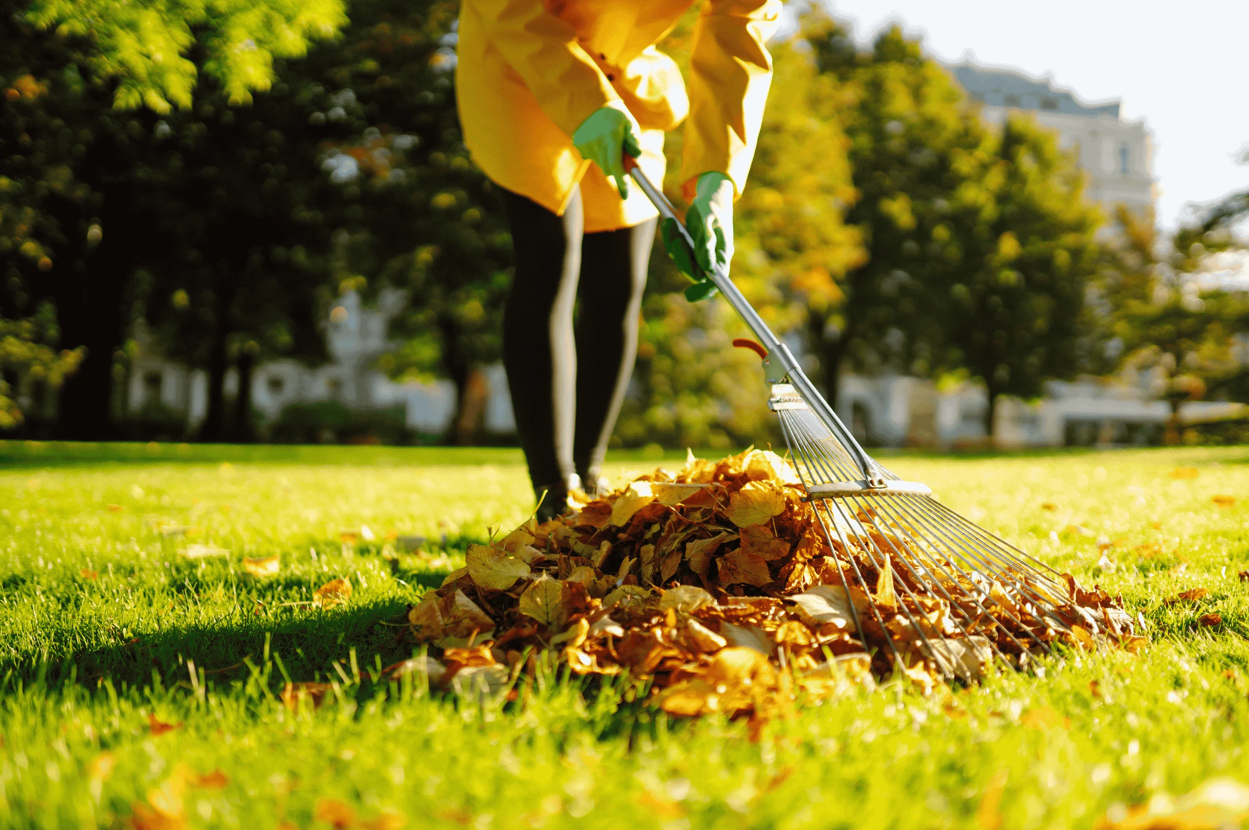 lawn care checklist for indiana homeowners