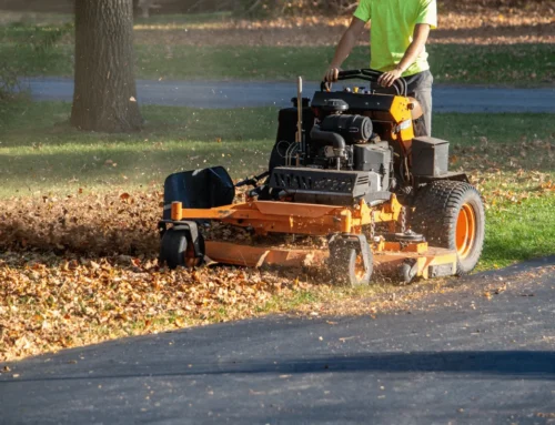 Fall Yard Cleanup Checklist for Elkhart & South Bend Homeowners