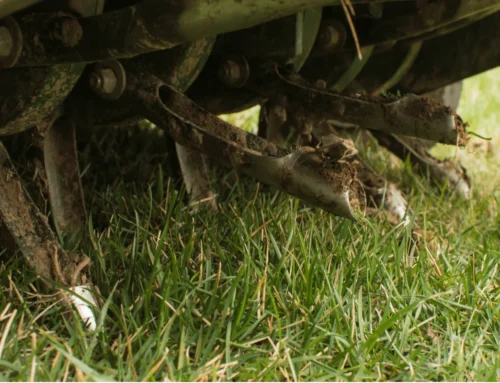 The Northern Indiana Homeowner’s Guide to Lawn Aeration & Overseeding