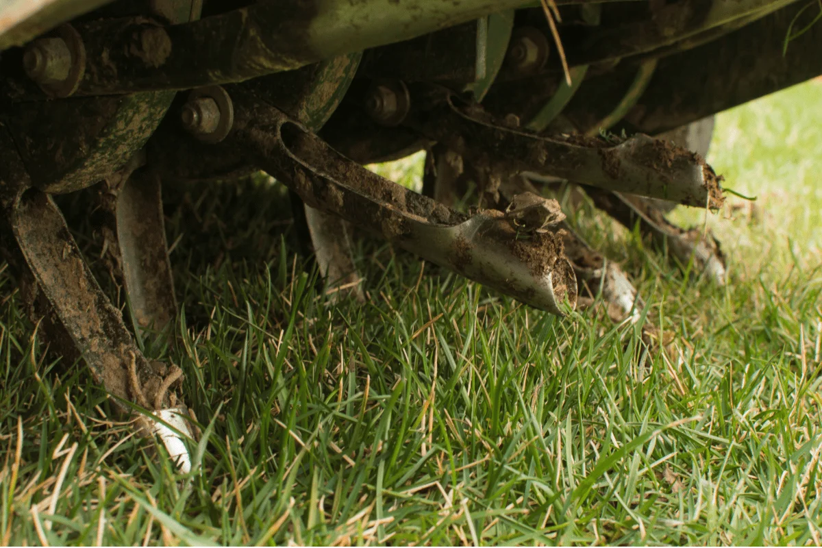 northern indiana lawn aeration overseeding guide