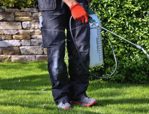 When to Apply Pre-Emergent & Post-Emergent Weed Control in Indiana