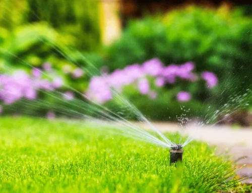 Why Proper Watering Matters for Indiana Lawn Care
