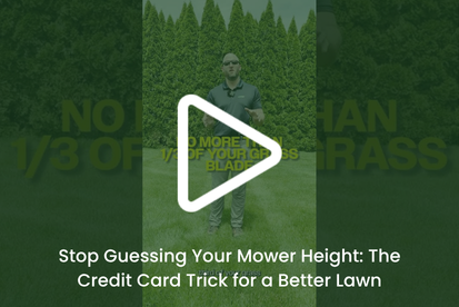 lawn overseeding services in elkhart in