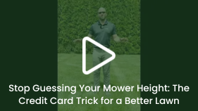 Stop Guessing Your Mower Height The Credit Card Trick for a Better Lawn
