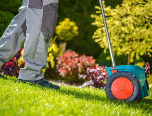 How Lawn Fertilization Actually Works: A Simple Guide for Homeowners