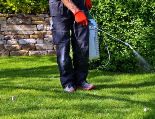 What’s Eating Your Lawn? Perimeter Pest Control for Indiana Homeowners