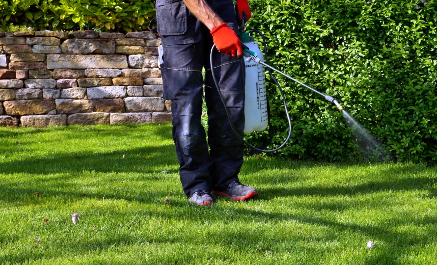 perimeter pest control indiana homeowners