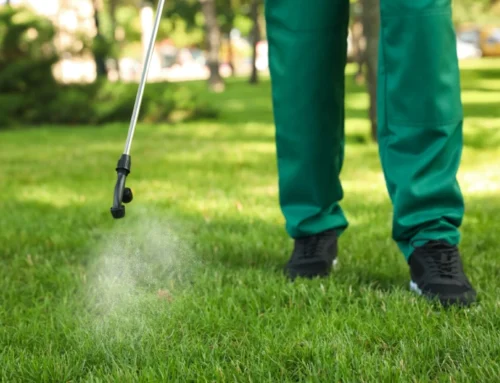 Professional Lawn Care vs. DIY: Is Hiring a Lawn Treatment Company Worth It in Elkhart?